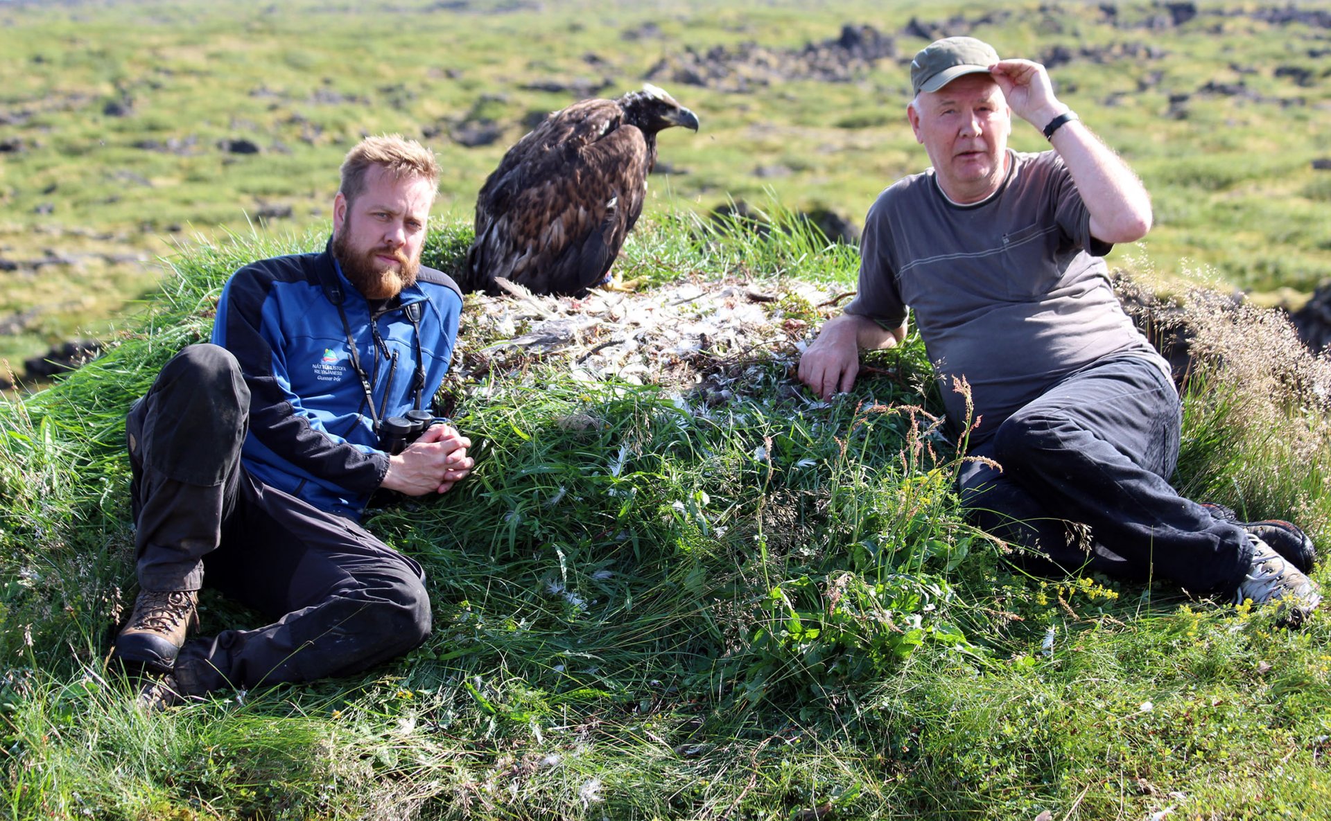 Feðgar við arnarhreiður. Í hreiðrinu eru fjaðrir, fýla og gríðarleg fuglabeinakös. Feðgar við arnarhreiður. Í hreiðrinu eru fjaðrir, fýla og gríðarleg fuglabeinakös.