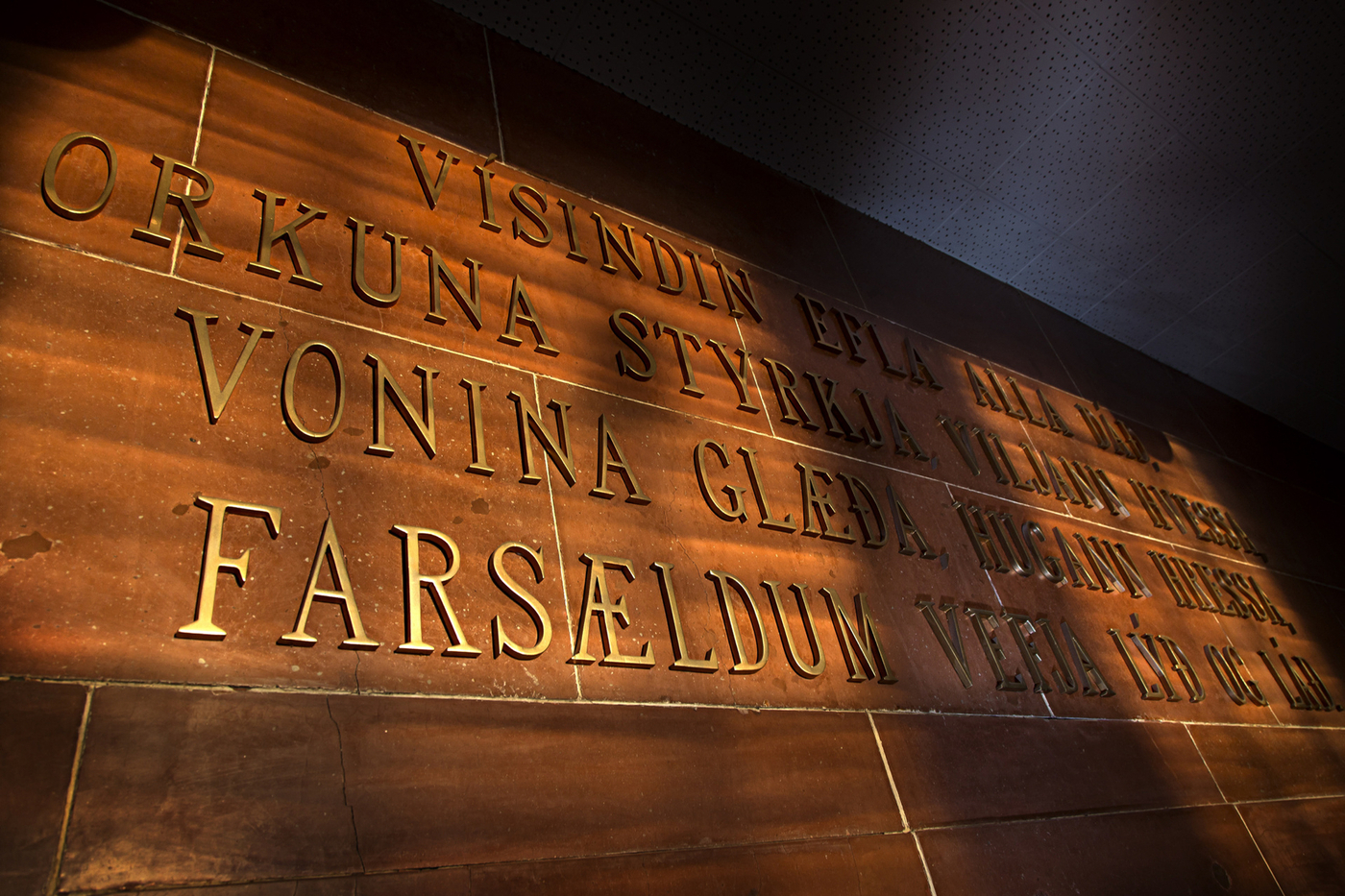 Vísindavefur HÍ og RÚV hafa stofnað til samstarfs um vísindamann vikunnar og næstu tvo mánuði verða vikuleg viðtöl við einn íslenskan vísindamann, rannsóknir hans og annað fróðlegt efni, á dagskrá á mánudögum í þættinum Samfélagið á Rás 1. MYND/Kristinn Ingvarsson Veggur fyrir framan Hátíðasal