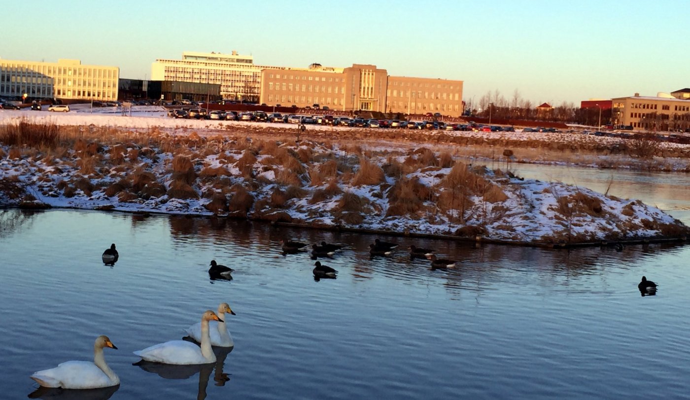 Háskóli Íslands og Félagsstofnun stúdenta hafa gert með sér samkomulag um uppbyggingu stúdentagarða á skipulagssvæði Háskólans. Frá háskólasvæðinu