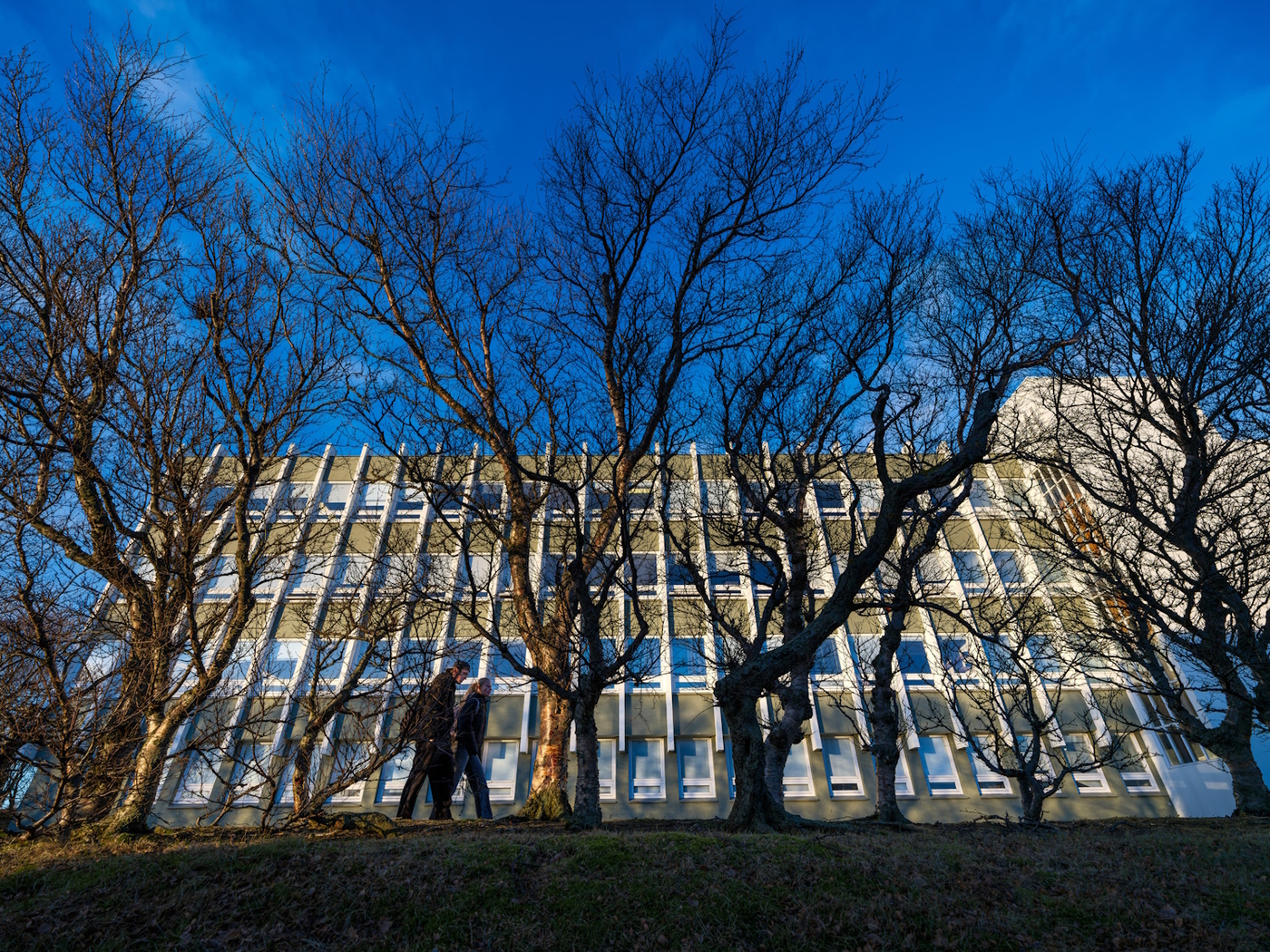 Opinberu háskólarnir á Íslandi skoða nú hvernig bæta má þjónustu við nemendur með erlendan bakgrunn með rafrænni könnun sem verður aðgengileg 28. janúar til 4. febrúar. Könnunin er fyrsti hluti verkefnisins „Inngilding í íslensku háskólasamfélagi“ sem skólarnir vinna saman að. MYND/Kristinn Ingvarsson Fólk að ganga fram hjá Árnagarði