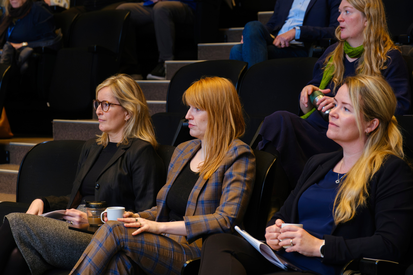 fulltruar heilbrigdisvisinda