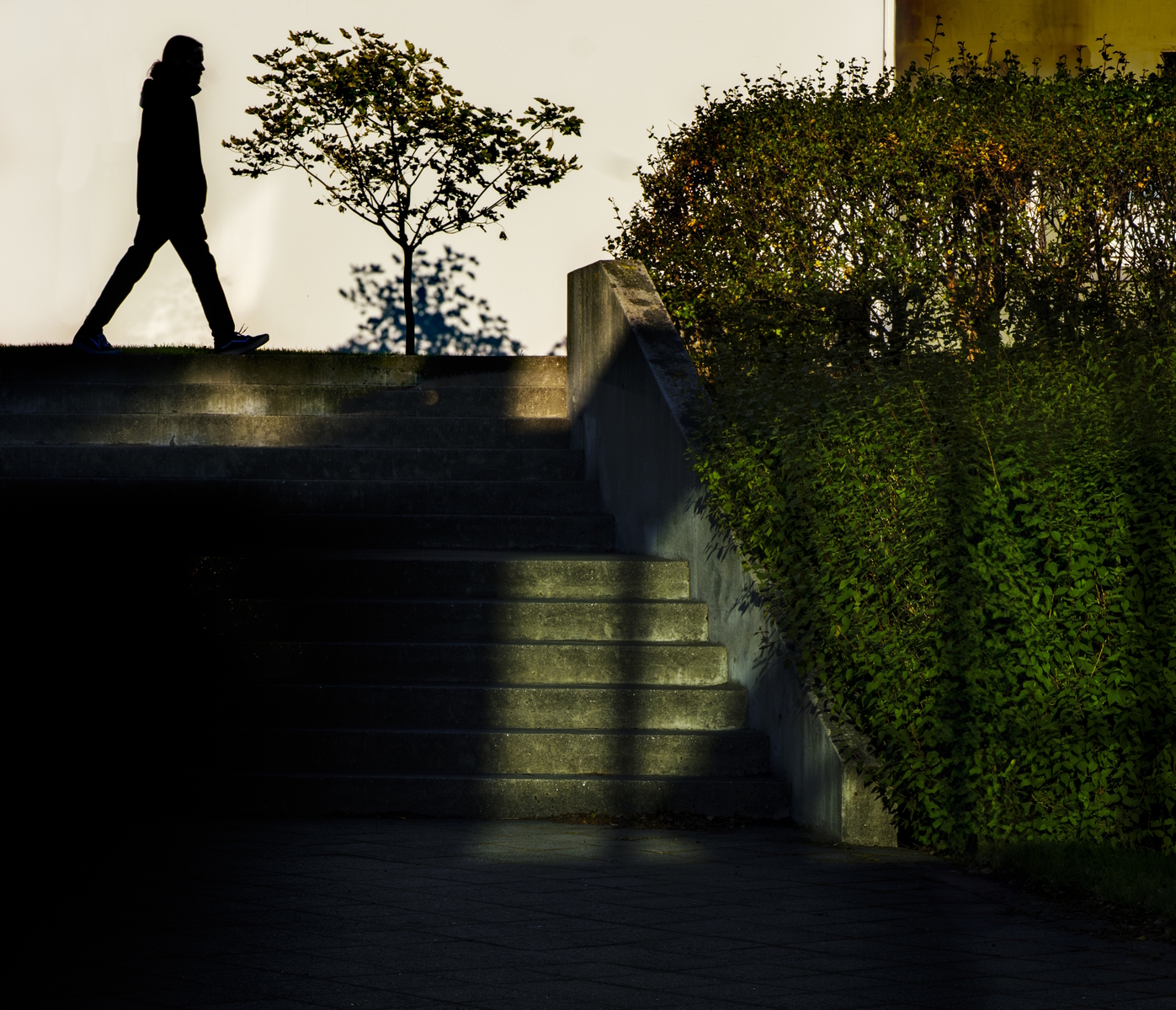 Sjálfbærniskýrsla Háskóla Íslands fyrir árið 2022 er nú aðgengileg. Þetta er í annað skipti sem HÍ gefur út slíka skýrslu og undirstrikar útgáfa hennar áherslur háskólans í að vera leiðandi á sviði sjálfbærni, en háskólastofnanir leika lykilhlutverk í að leiða samfélagsbreytingar á því sviði. Maður á göngu í gróðri