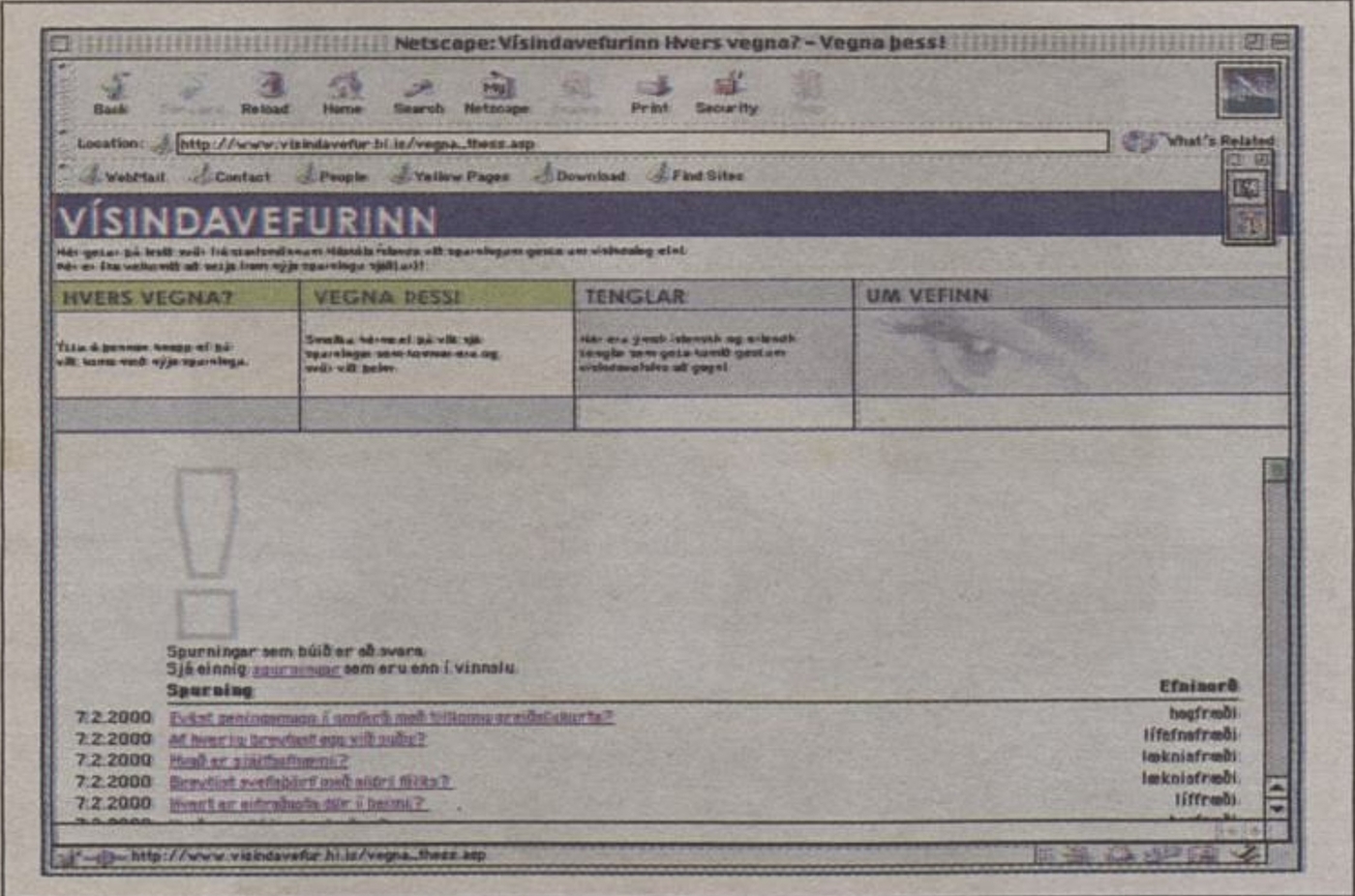 visindavefur