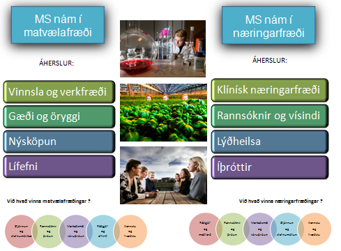 Áherslulínur í MS-námi í matvælafræði og næringarfræði