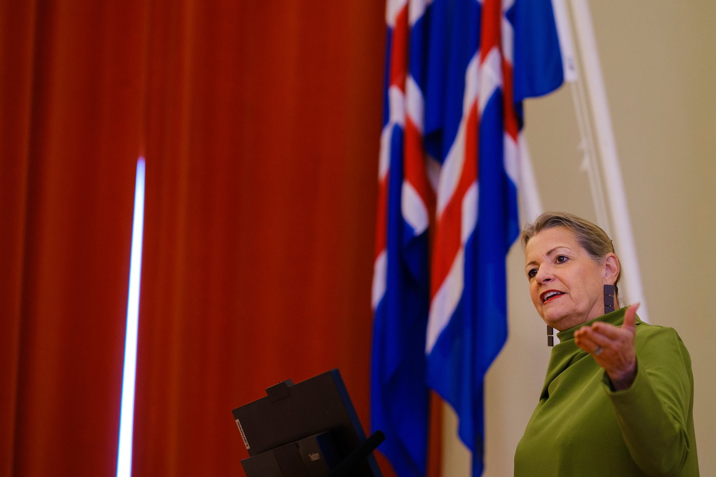 Dr. Anne Bamford, gestaprófessor við Menntavísindasvið HÍ og vel þekktur sérfræðingur og leiðtogi á sviði menntunar.