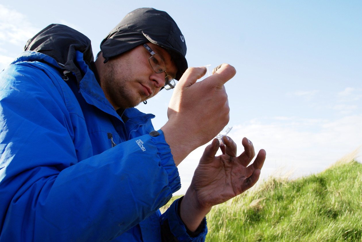 Blóðsýni er tekið úr fuglunum til rannsókna. Blóðsýni er tekið úr fuglunum til rannsókna.