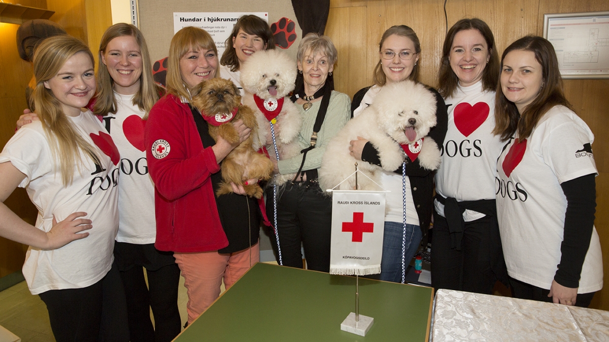 Verkefnið hundar í hjúkrunarmeðferð. Hjúkrunarfræðinemar og hundar