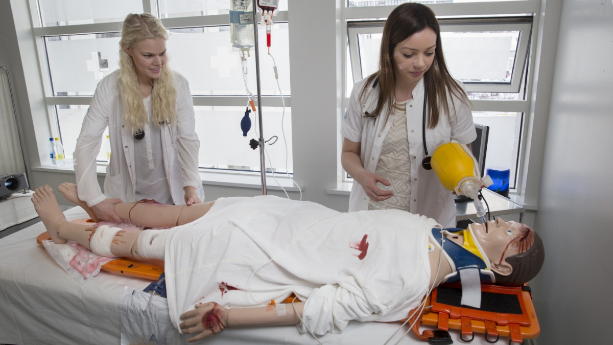 Verkefnið bráðahjúkrun. Krossgötur 2015