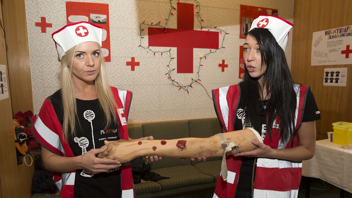 Verkefnið Frú Ragnheiður - skaðaminnkun. Krossgötur 2015