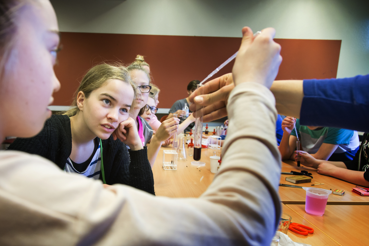Nemendum í efri bekkjum grunnskólanna á áfangastöðunum fjórum verður boðið upp á fræðandi og skemmtileg námskeið á vegum Háskólalestarinnar. Frá Háskólalestinni