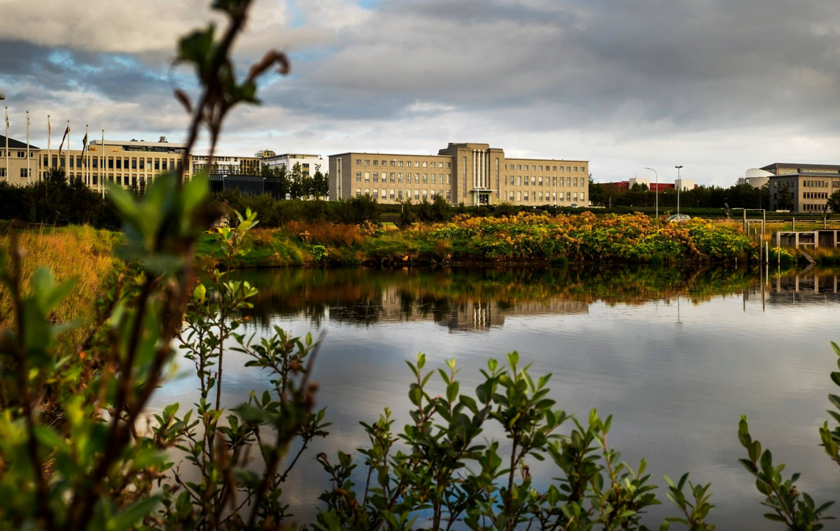 Aðild að SAR-samtökunum eiga yfir 500 háskólar um allan heim, þar á meðal flestir fremstu háskólar heims. MYND/Kristinn Ingvarsson Aðalbygging Háskóla Íslands