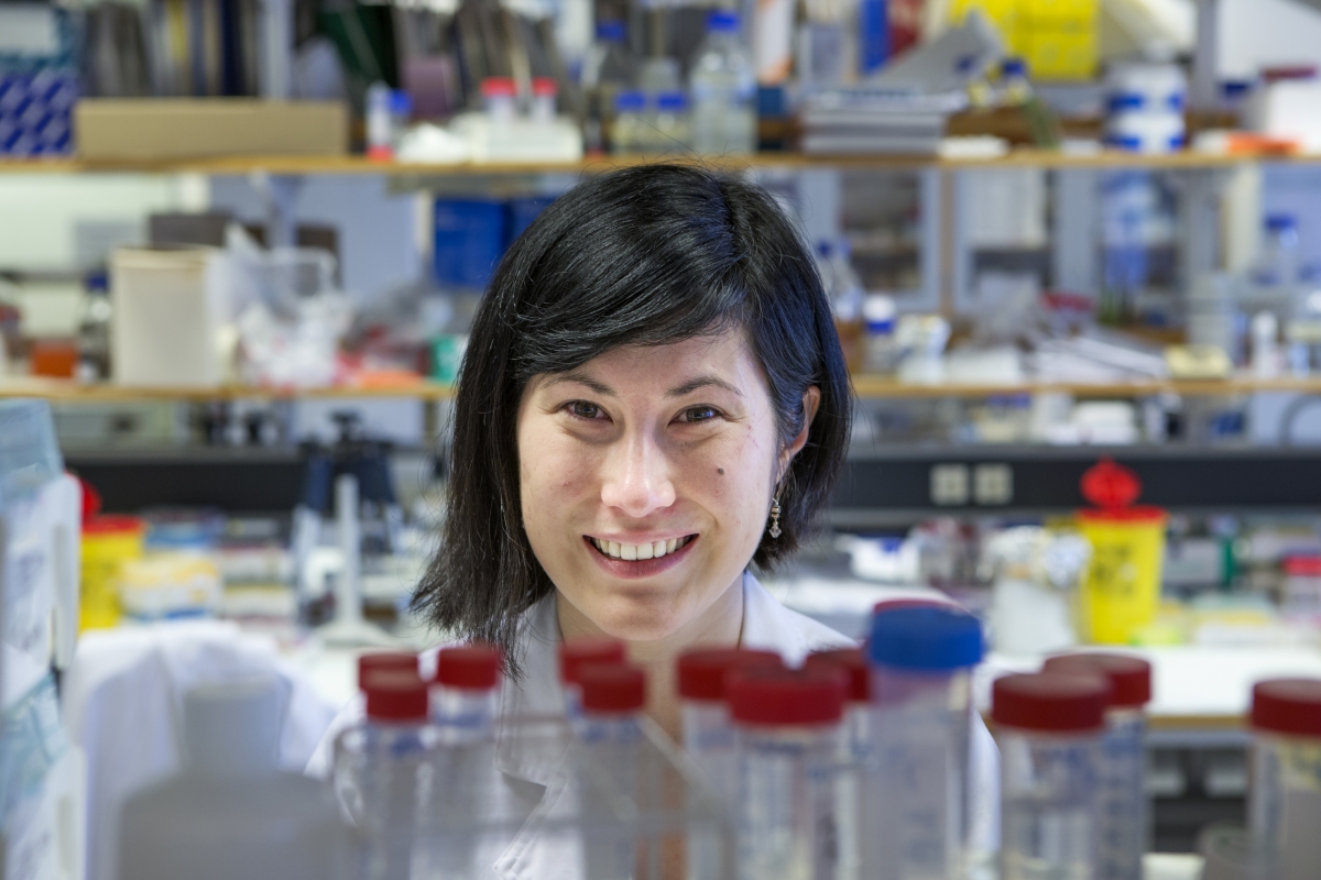 18. ráðstefnan um rannsóknir í líf- og heilbrigðisvísindum fer fram á Háskólatorgi 4. og 5. janúar 2017 ""