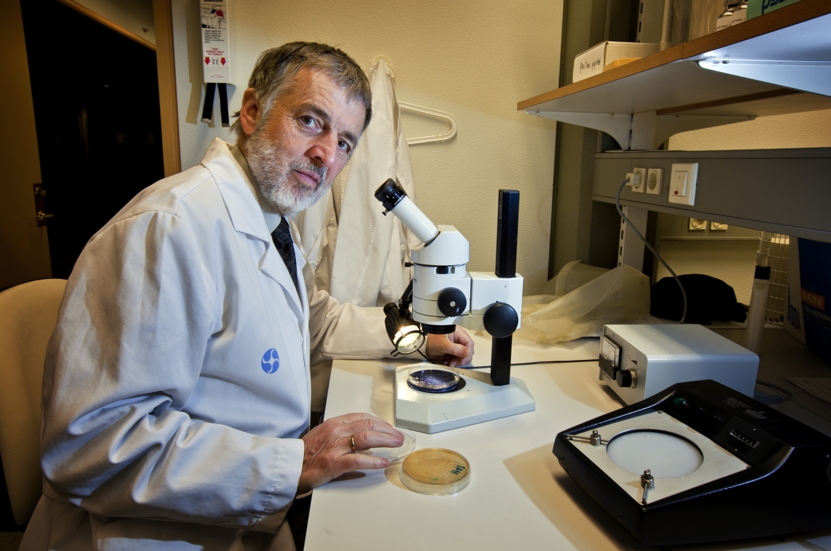 Peter Holbrook, prófessor við Tannlæknadeild hlaut á dögunum afar virt alþjóðleg verðlaun fyrir framúrskarandi rannsókn í munnlyflæknisfræði. Peter Holbrook, prófessor við Tannlæknadeild hlaut á dögunum afar virt alþjóðleg verðlaun, fyrir framúrskarandi rannsókn í munnlyflæknisfræði.