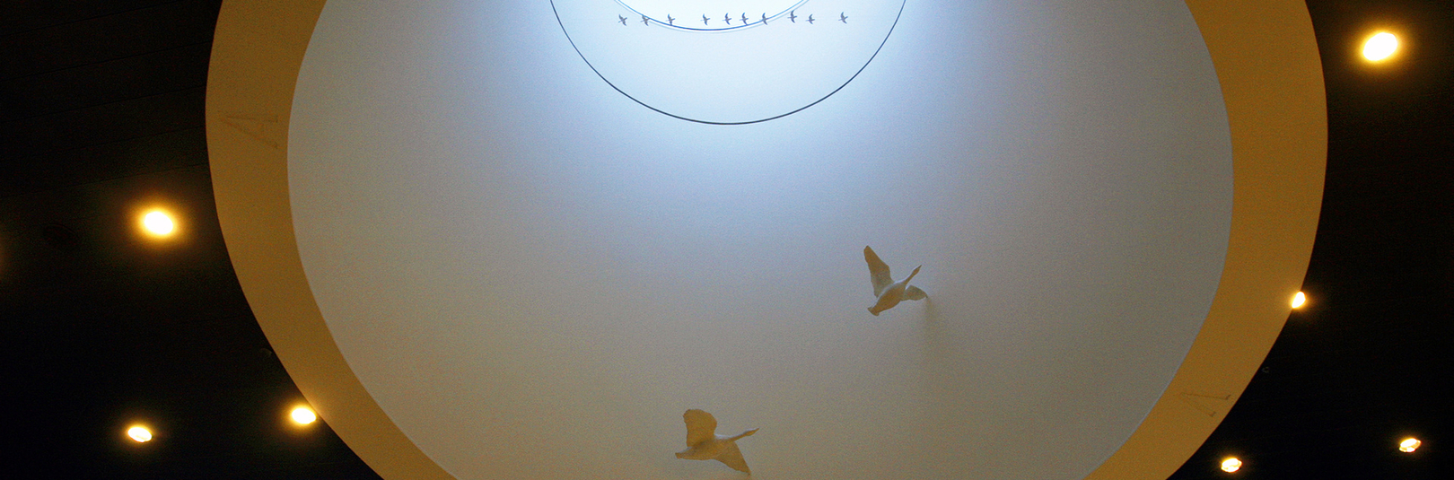 Í áratug í hópi fremstu háskóla heims - á vefsíðu Háskóla Íslands