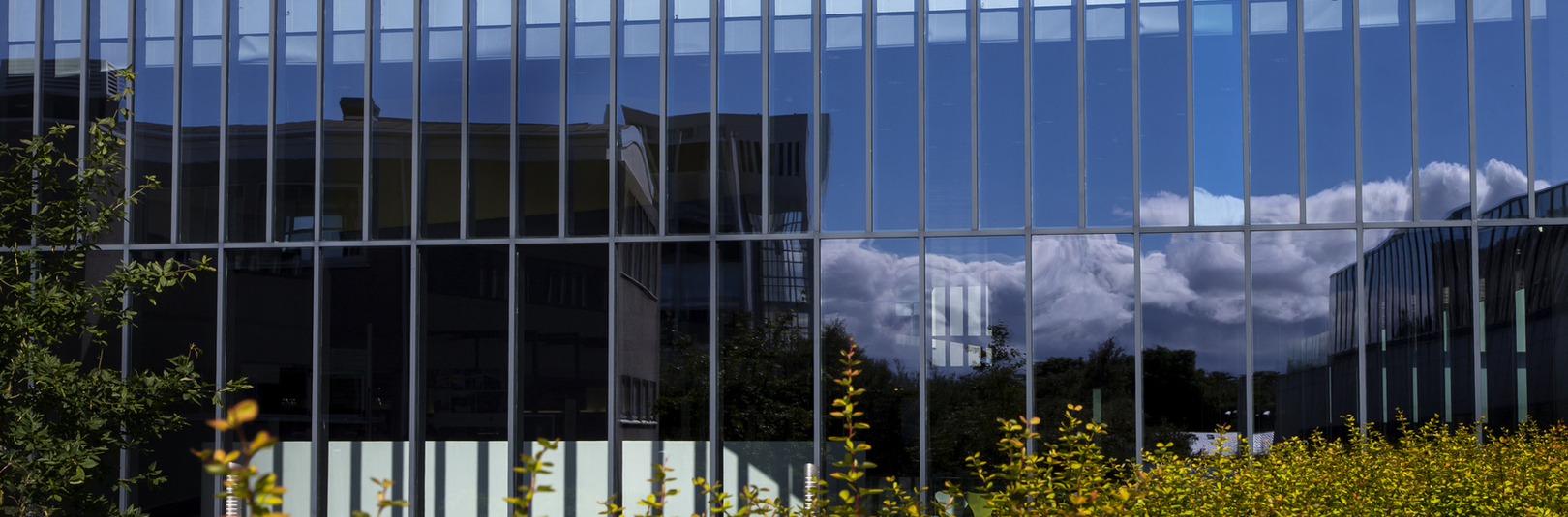 Fyrsta sjálfbærniskýrsla Háskóla Íslands komin út - á vefsíðu Háskóla Íslands