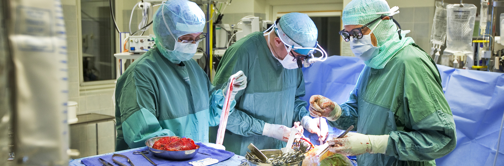 Íslendingar gefa nærri tvöfalt fleiri hjörtu en þeir þiggja  - á vefsíðu Háskóla Íslands