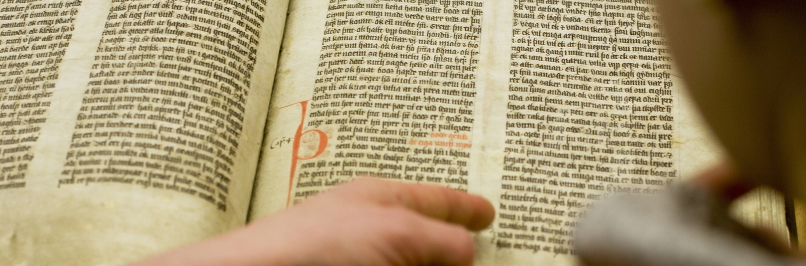 Styrkir til eflingar íslenskri tungu  - á vefsíðu Háskóla Íslands