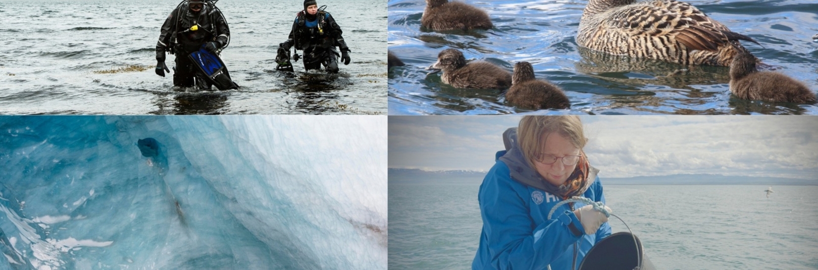 Heimildarmynd, hugvísindi og lífríkisrannsóknir á Ársfundi Stofnunar rannsóknasetra HÍ - á vefsíðu Háskóla Íslands