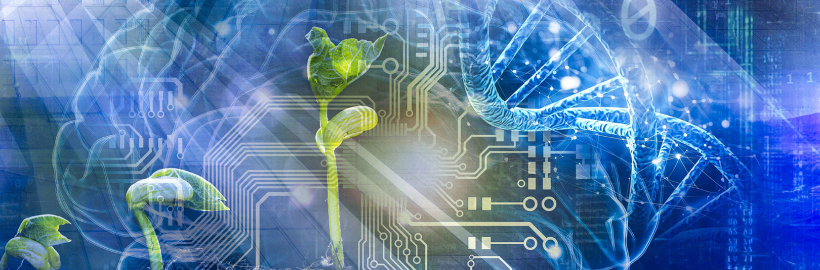 Háskóli Íslands stefnir á forystu í nýtingu gervigreindar - á vefsíðu Háskóla Íslands