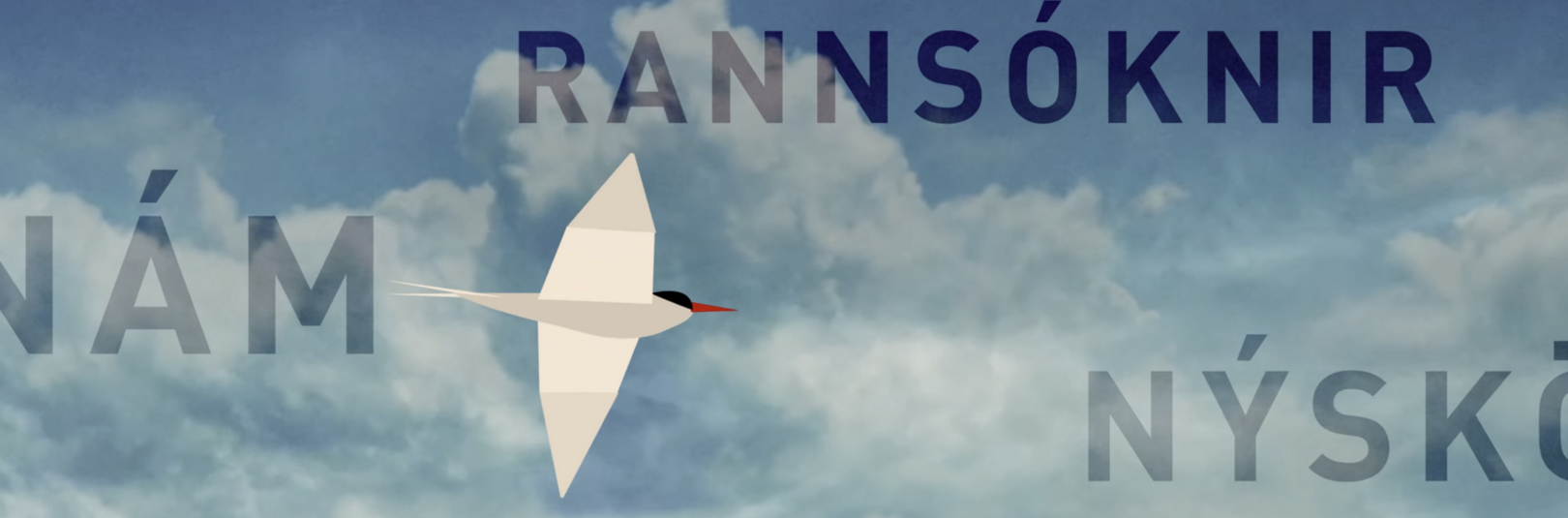 Öflugur samstarfsvettvangur íslenskra háskóla í evrópskum háskólanetum - á vefsíðu Háskóla Íslands