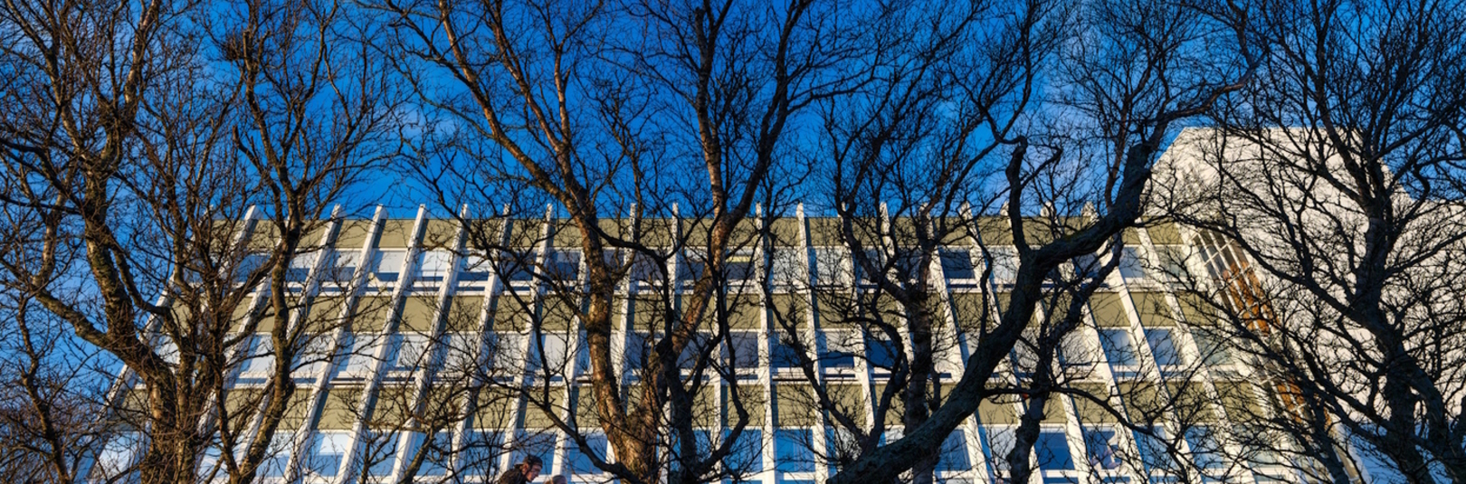 Könnun í þágu bættrar þjónustu fyrir nemendur með erlendan bakgrunn - á vefsíðu Háskóla Íslands