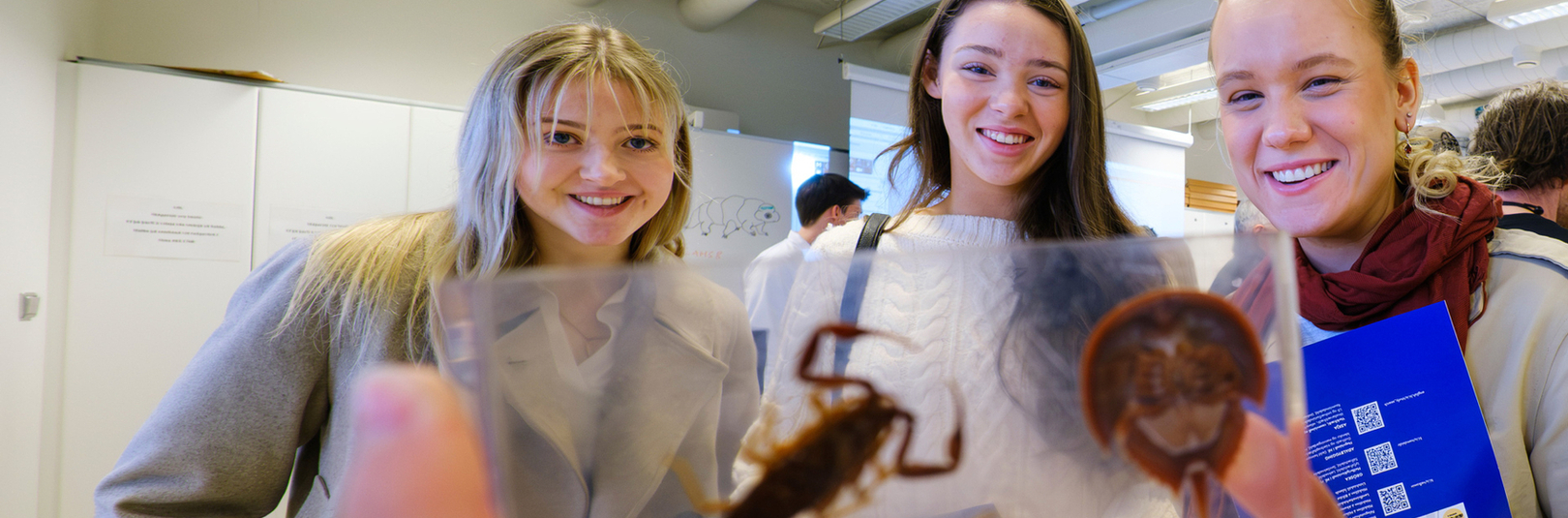 Komdu í HÍ á Háskóladaginn - á vefsíðu Háskóla Íslands