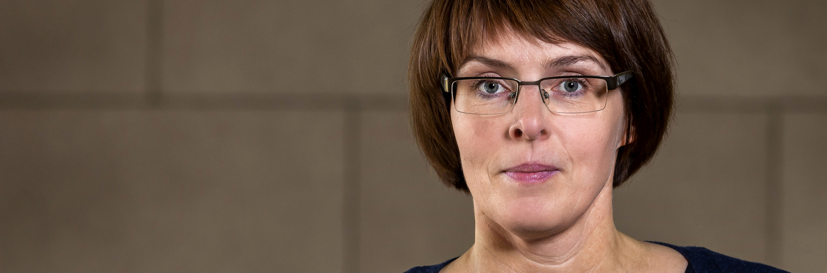 Ingibjörg Gunnarsdóttir verður aðstoðarrektor vísinda við Háskóla Íslands - á vefsíðu Háskóla Íslands