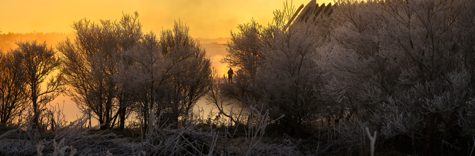 Fjögur verkefni nemenda tilnefnd til Nýsköpunarverðlauna forseta Íslands - á vefsíðu Háskóla Íslands