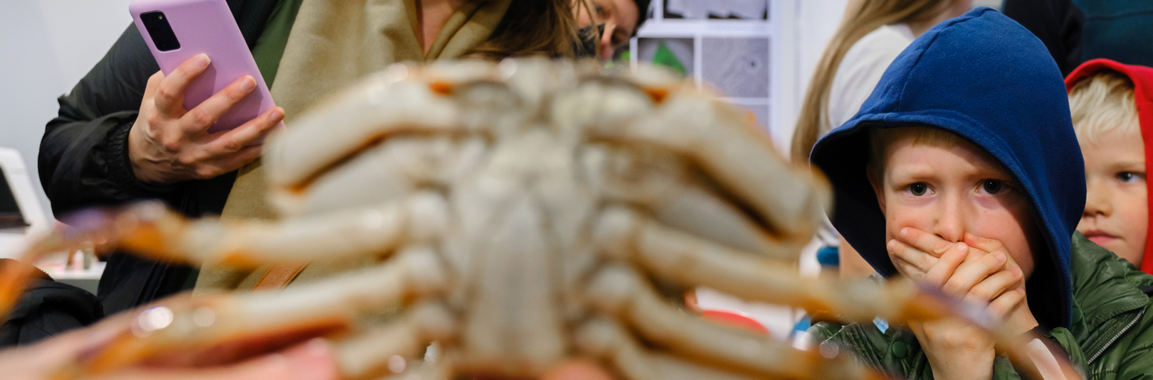 Ótal hliðar vísindanna í HÍ á Vísindavöku í Laugardalshöll - á vefsíðu Háskóla Íslands