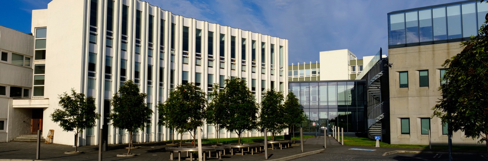 Kynning á MA-ritgerðum í ensku - á vefsíðu Háskóla Íslands