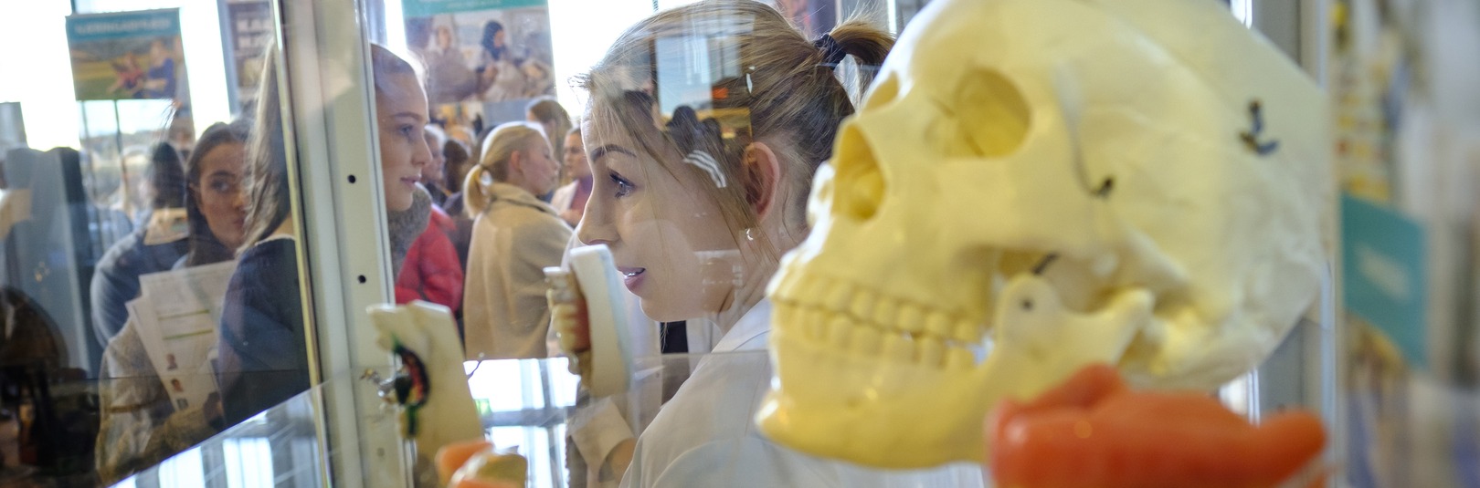 Nokkuð súr? Áhrif lífsstílsdrykkja á tannheilsu - á vefsíðu Háskóla Íslands