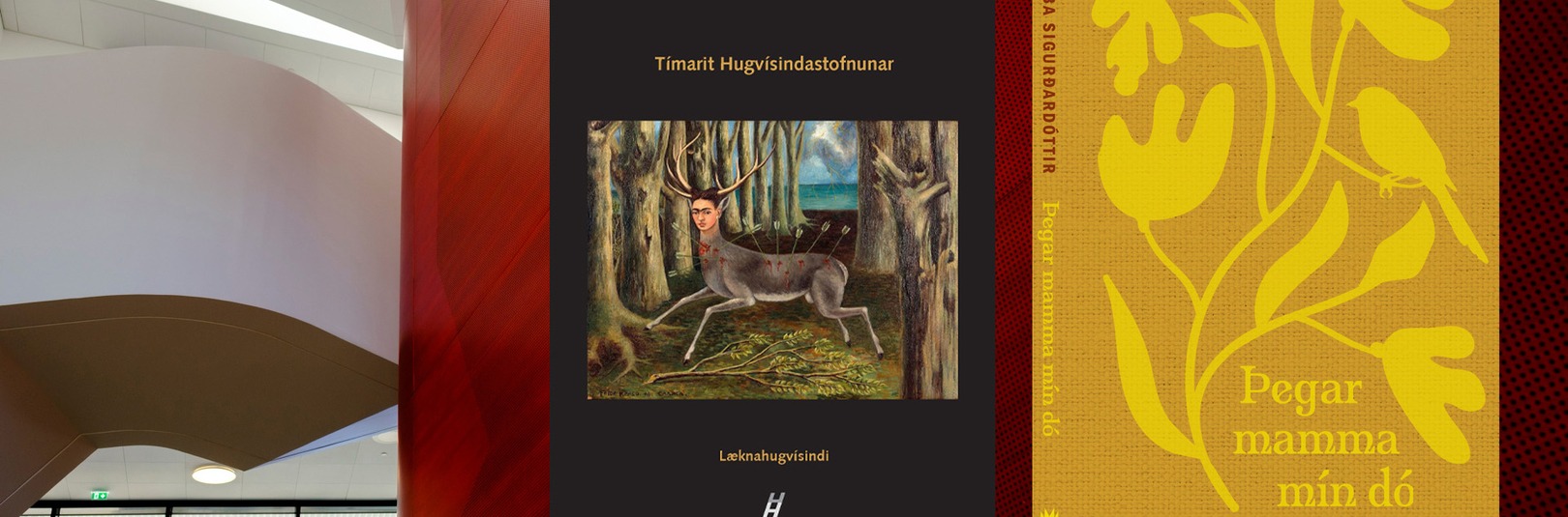 Sjúkdómar, sorg og samlíðan í bókmenntum og veruleika - á vefsíðu Háskóla Íslands