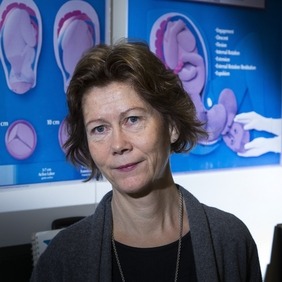 Helga Gottfreðsdóttir