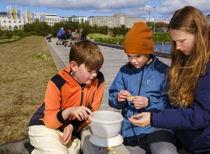 Nemendur skoða síli við Norræna húsið