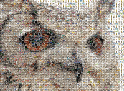 Samsett mynd af Uglunni