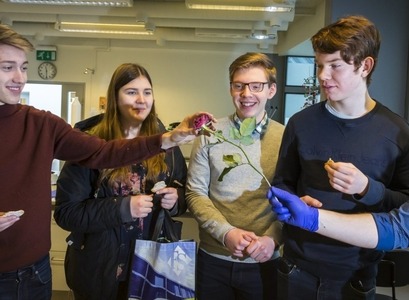 Nemendur í Háskólaherminum 2018