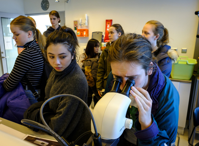 Nemendur í Háskólaherminum 2019