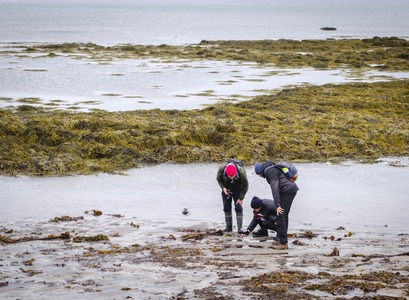 Nemendur að störfum við Gróttu