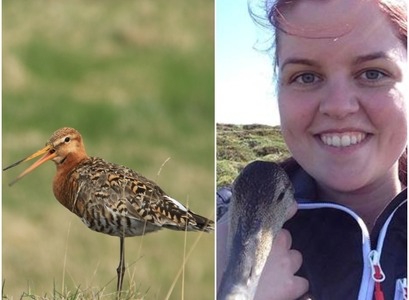 Jaðrakan og Aldís Erna Pálsdóttir.