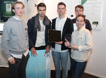 Teymi úr MR bar sigur úr býtum í MEMA 2019 með verkefninu Mosaflísar. Liðið skipuðu þau Júlía Sóley Gísladóttir, Jason Andri Gíslason, Örn Steinar Sigurbjörnsson, Kjartan Þorri Kristjánsson og Ólafur Heiðar Jónsson sem öll eru nemendur í Háskóla Íslands í dag. 