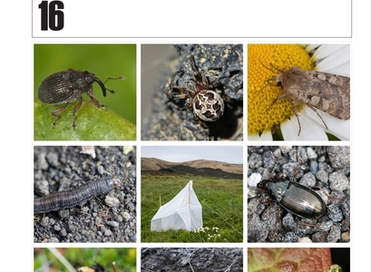 Kápa Surtsey Research