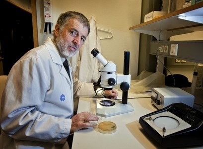 Peter Holbrook, prófessor við Tannlæknadeild hlaut á dögunum afar virt alþjóðleg verðlaun, fyrir framúrskarandi rannsókn í munnlyflæknisfræði.