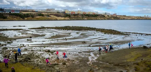 Children watching birds at shore