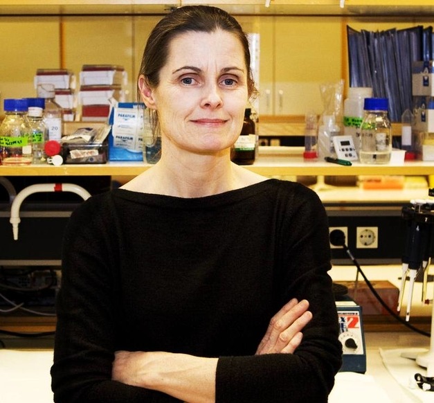 Ingibjörg Harðardóttir