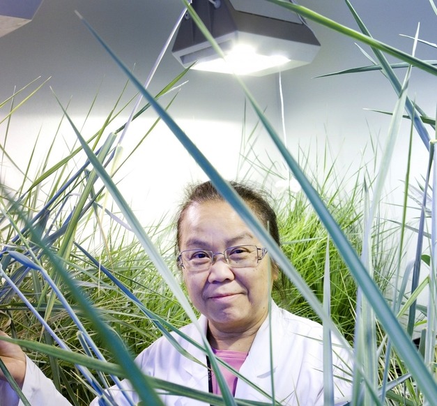 Kesara Margrét Jónsson Kesara Margrét Jónsson