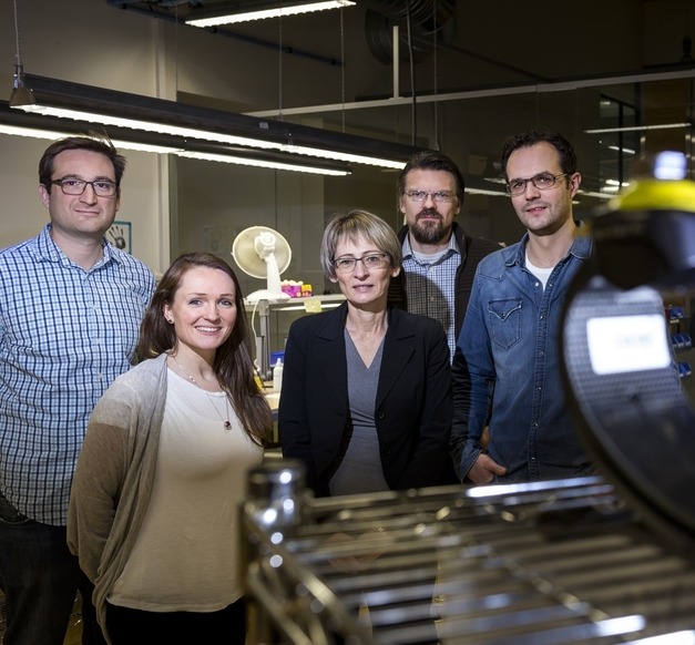 Fjóla Jónsdóttir og samstarfsmenn