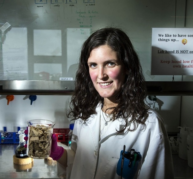 Ana Margarida Pinto e Costa Ana Margarida Pinto e Costa