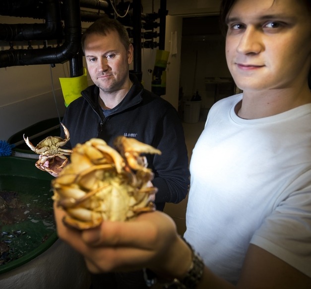 Halldór Pálmar Halldórsson og Hermann Dreki Guls