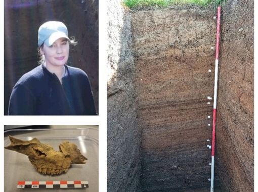 Nýjar rannsóknir í fornleifafræði: Kristin Linnéa R. Møller-Nilsen