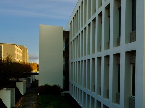 Kynning á skýrslu FEDON og opinn fundur